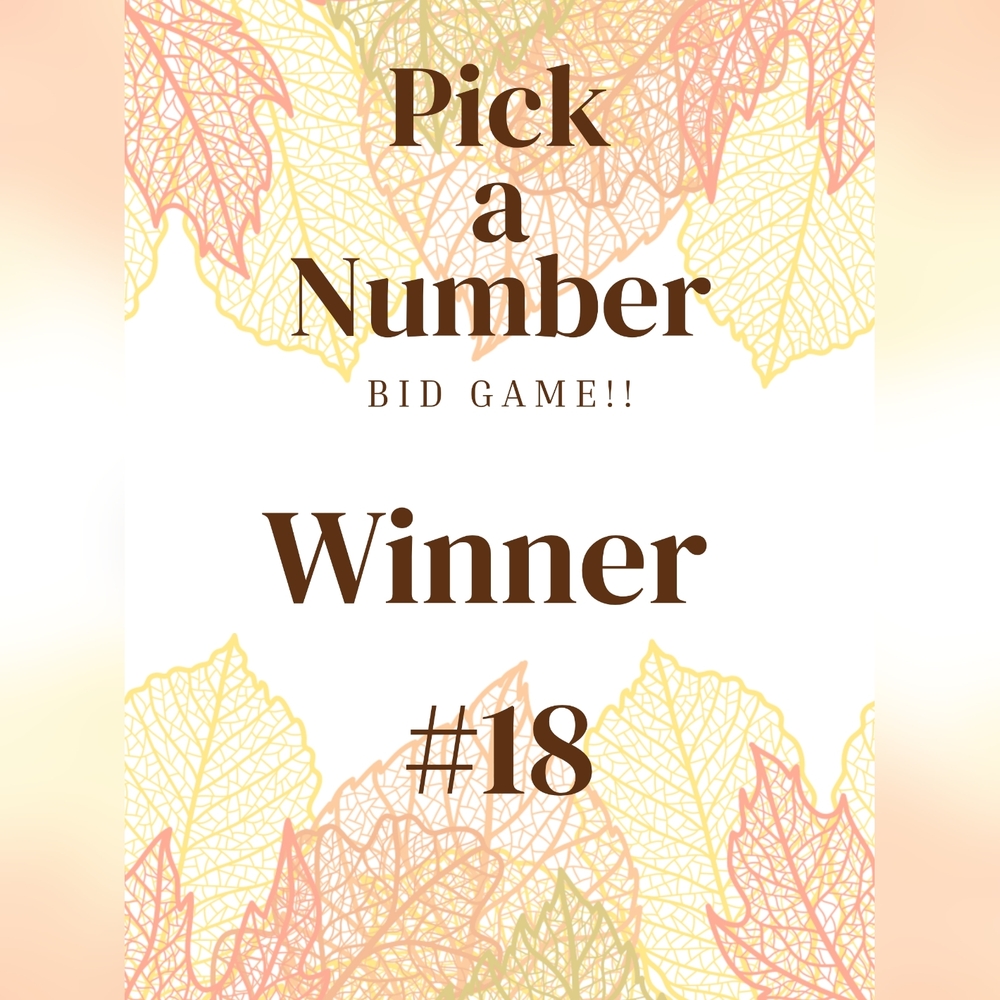 Winner #18